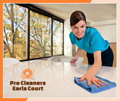 Domestic Cleaning Earls Court