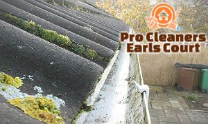 gutter-cleaning-services-earls-court